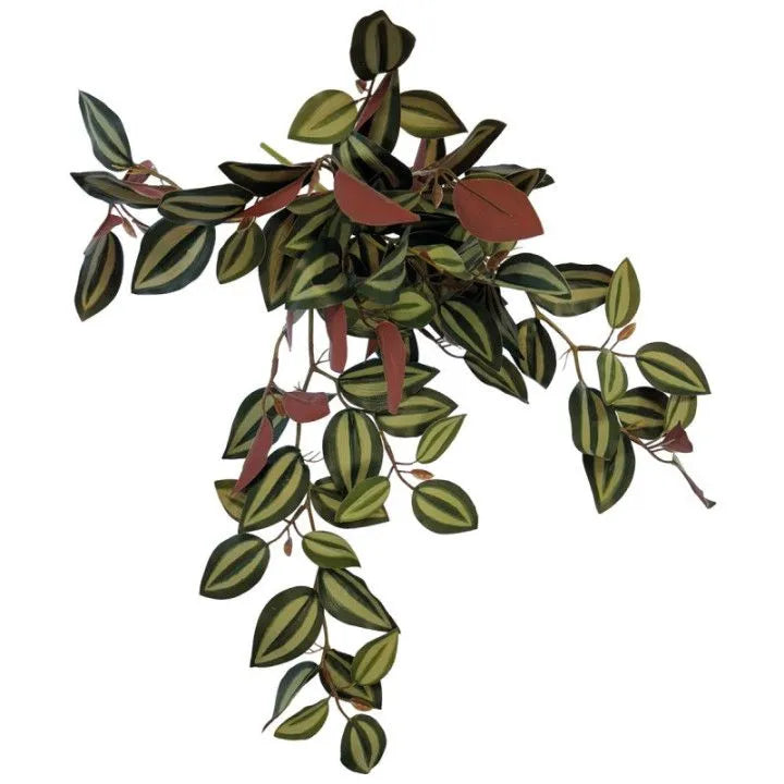 Repto Plant Hanging (Various Types)