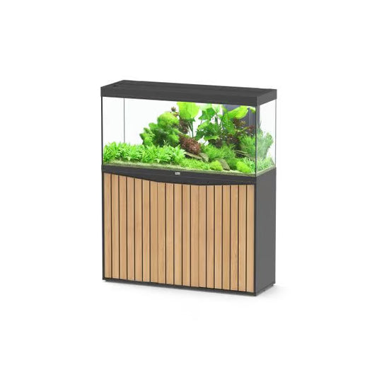 Splendid 120 Aquarium Black + Black Slat Cabinet