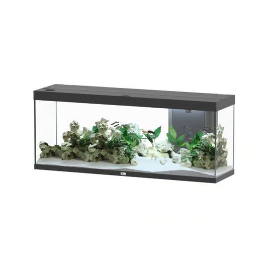Splendid 150 Aquarium Black (TANK ONLY)