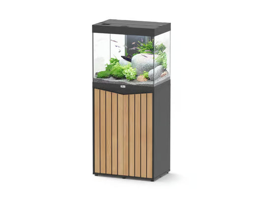 Splendid 60 Aquarium Black + Black Slat Cabinet