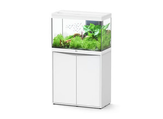 Splendid 80 Aquarium White + White Cabinet