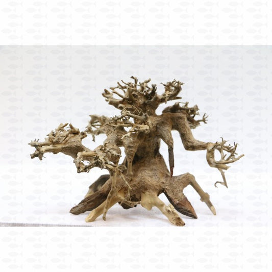 Aquatrees - Willow (S)