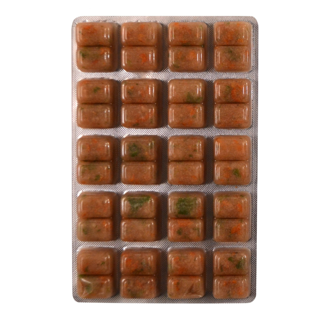 Turtle Food Frozen Food 100g Blister Pack