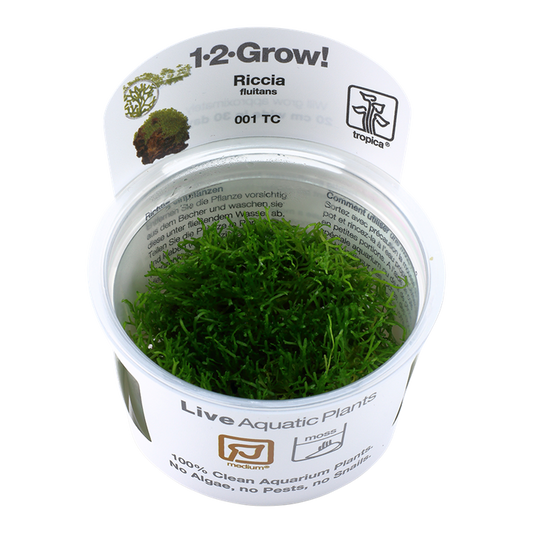 Riccia Fluitans - Tropica 1-2 Grow