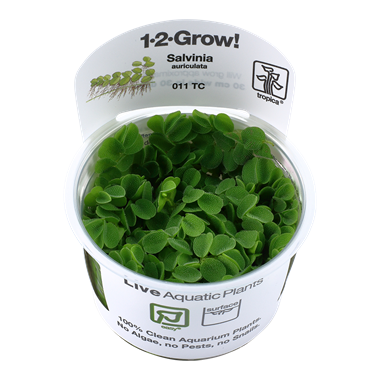 Tropica 1-2 Grow Loot Box